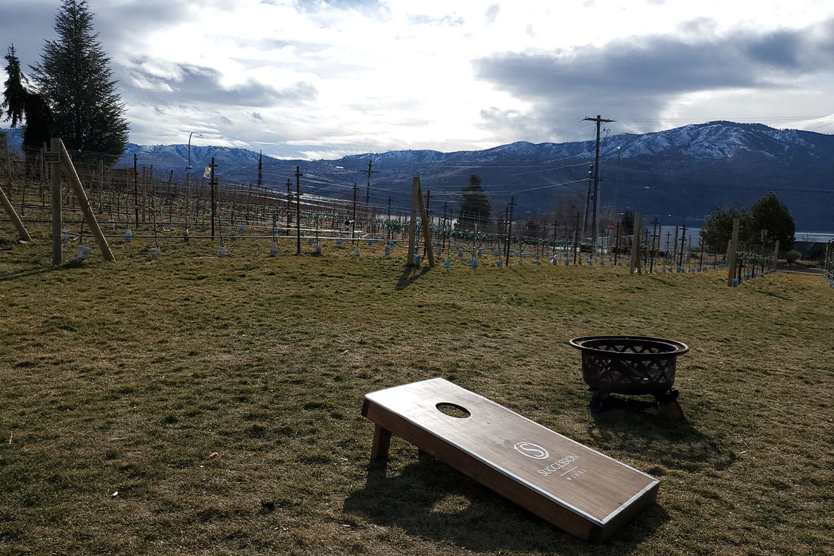 Succession Wines Vineyard and Corn hole game