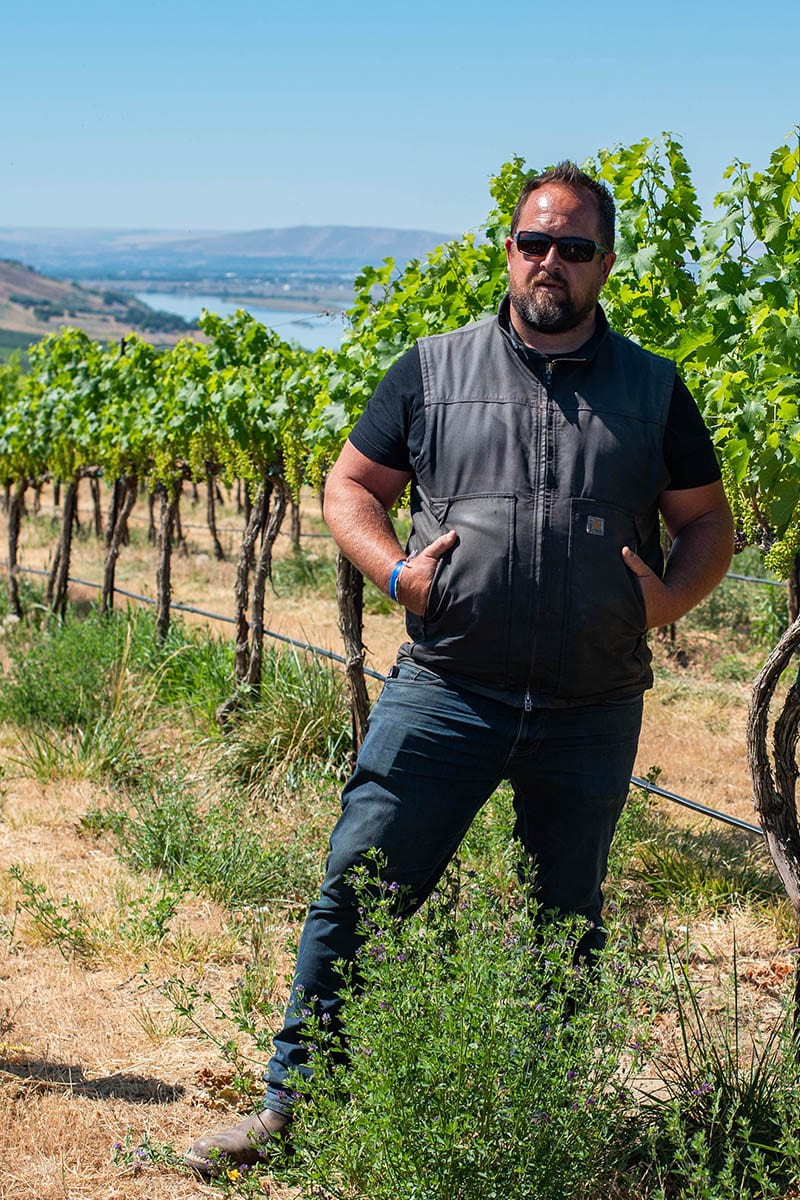 Brock in vineyard