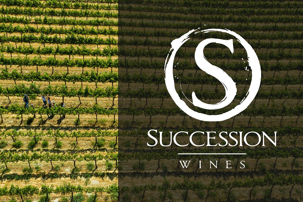 aerial view of vineyard with succession logo