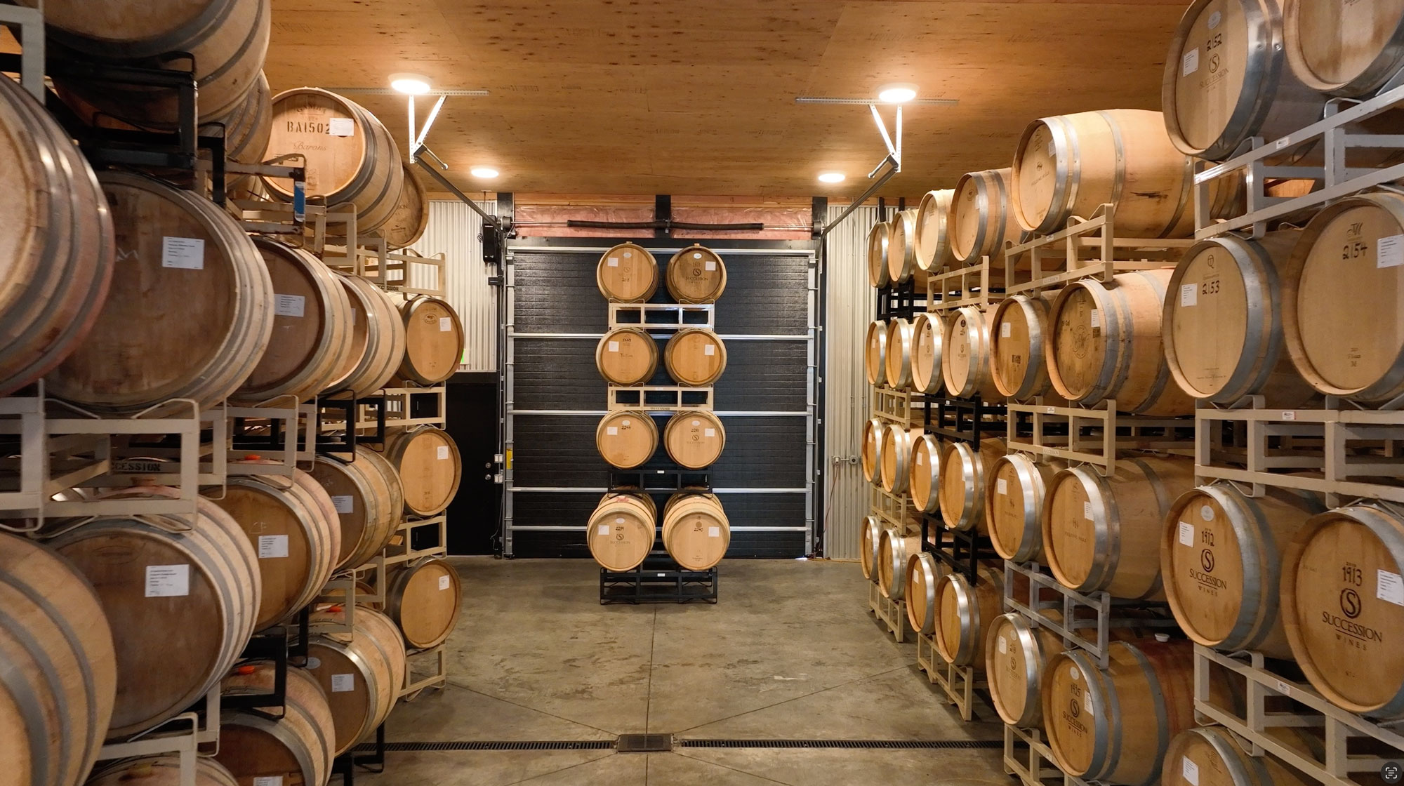 Barrel room at Succession Wines