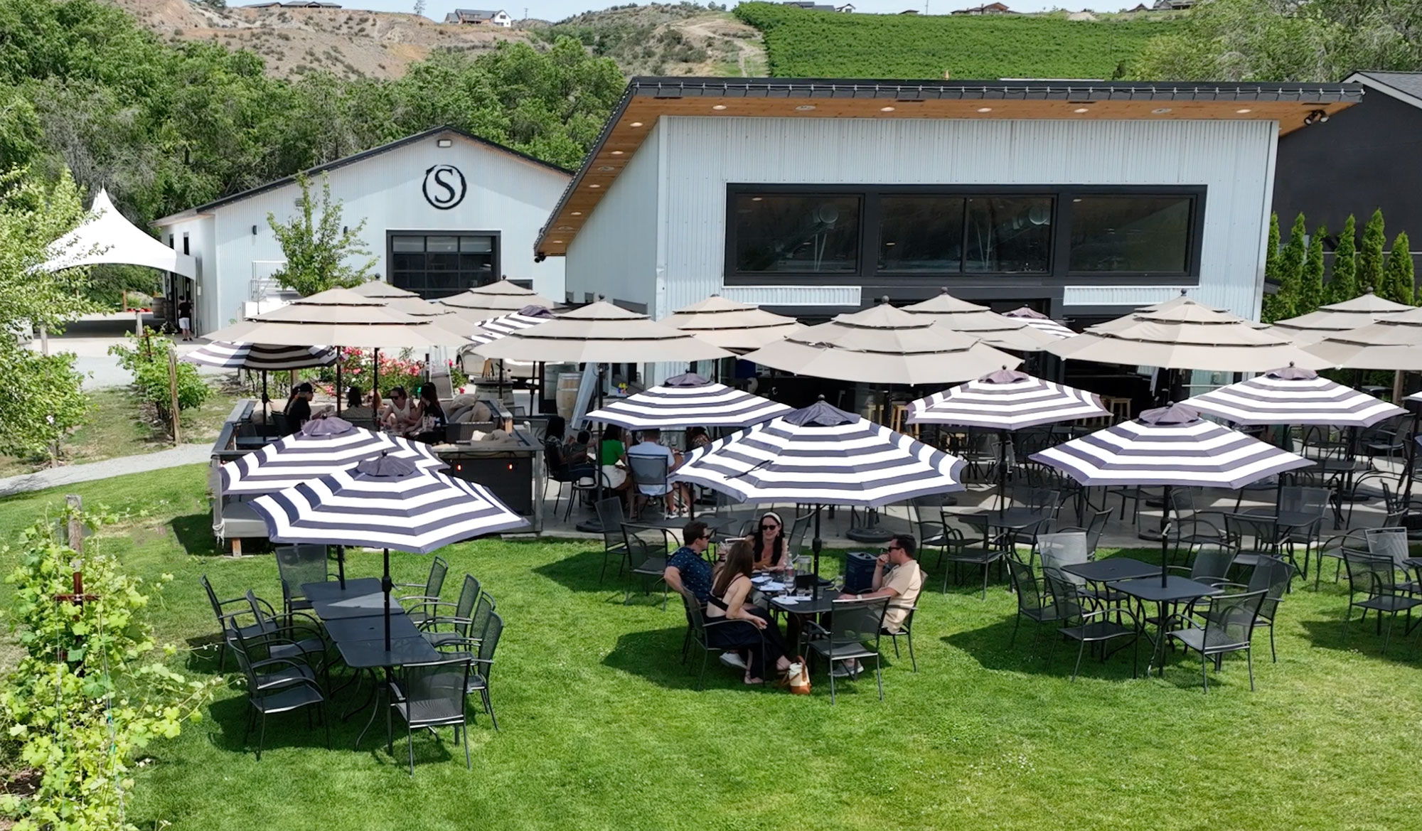 Guests enjoying wine tastings under covered umbrellas on a sunny day at Succession Wines